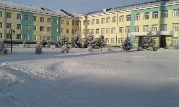 Красота зимней природы