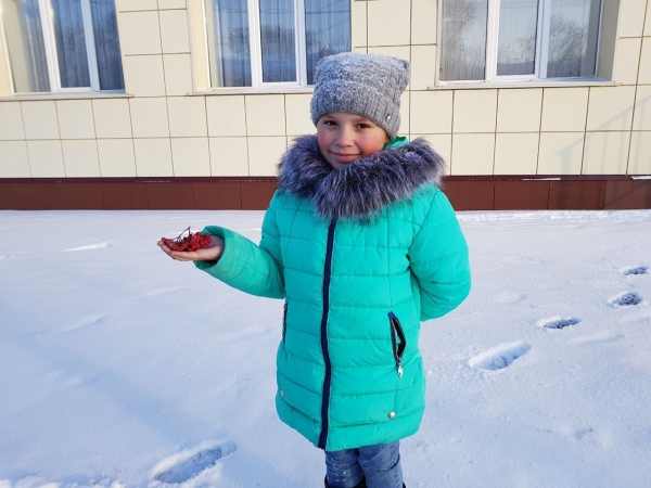 Красота зимней природы