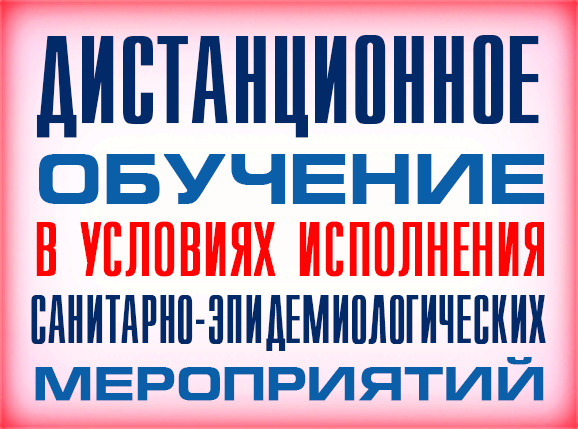 Дистанционное обучение в условиях исполнения санитарно-эпидемиологических мероприятий